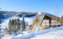 Krkonoše u ski areálů: Pytloun Hotel Harrachov **** s polopenzí a denně vstupem do wellness (bazén, sauna)