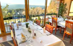 Restaurace, Hotel Podlesí ***, Vysočina