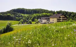 Ausztria: Wellness üdülés a Hotel Wienerwaldhof ****-ban félpanziós ellátással, Bécs közelében