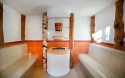 Wellness, JUFA Hotel Waldviertel ***, Rakousko