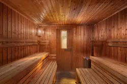 Sauna, Spa Hotel Savoy ****, Františkovy Lázně