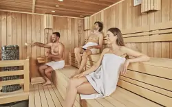 Wellnessközpont, Hotel Pancho ****, Felcsút, Magyarország