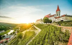 Znojmo w pobliżu Parku Narodowego Podyjí w Pensjonacie Blanka z obiadokolacją, butelką wina i zestaw zniżek