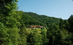 BIO Hotel Mauthäusl ***, Schneizlreuth, Németország