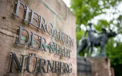 Tiergarten Nürnberg, Norimberg, Nemecko