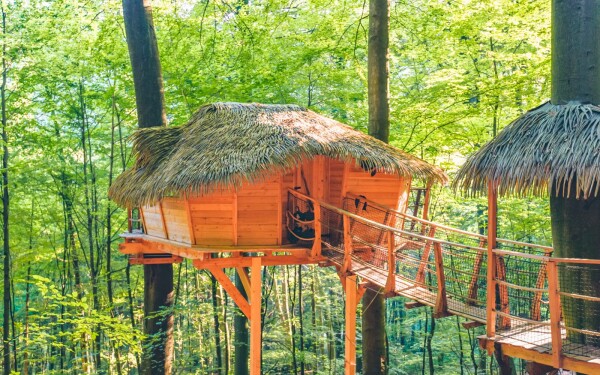 Treehouse Dom na strome