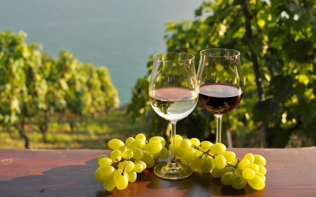 Užite si pobyt na Južnej Morave so všetkým, teda aj so skvelým vínom