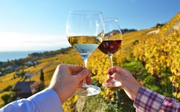 Romantika na južnej Morave pre dvoch s polpenziou a vínom