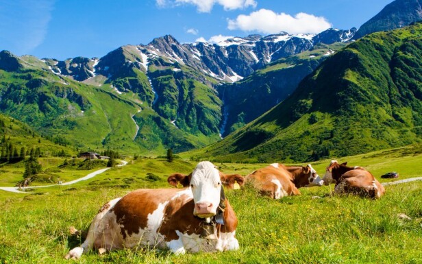 Spoznajte Alpy v celej ich kráse