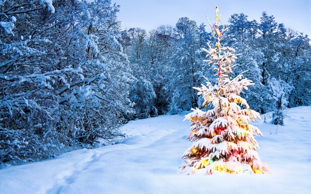 Užite si zimný vianočný pobyt v Krkonošiach