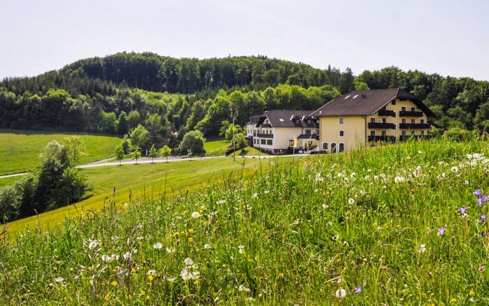 Ausztria: Wellness üdülés a Hotel Wienerwaldhof ****-ban félpanziós ellátással, Bécs közelében