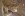 29063816_1832990633399963_5141991933174458029_o-2