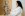 Wellness v Astoria Hoteli &amp; Medical Spa ****, Karlovy Vary
