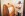 Procedury, sauna, Star Hotel ****, Karlovy Vary