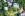 Spa Resort komplex Bristol Group ****