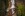 shutterstock_1834917583