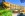 122161092_3360113184110420_3377699384642962432_n