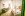 Izba Grande, Lotus Therme Hotel &amp; Spa *****