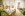 Izba Grande, Lotus Therme Hotel &amp; Spa *****