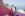 Veya Hotel by Aminess ***, ostrov Krk