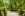 Tropical Islands - OHANA Lodges, Krausnick