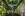 Tropical Islands - OHANA Lodges, Krausnick