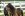 Kone, Hotel Schloss Basthorst ****, Crivitz, Nemecko