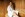 Wellness, Nature- und Genusshotel PuchasPlus Kukmirn ****