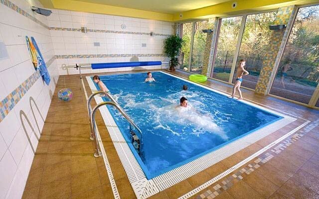 Bazén ve wellness Penzionu Samohel ***
