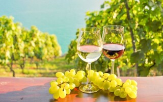 Víno, vinice, južná Morava, Penzión Šatovské Lípy, Šatov