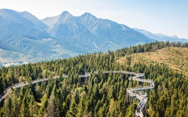 Projděte se korunami stromů