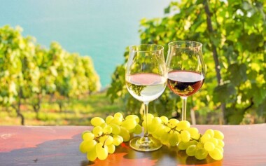 Víno, vinice, jižní Morava, Penzion Šatovské Lípy, Šatov
