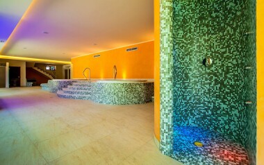 Ve wellness najdete vířivku, saunu i zážitkovou sprchu