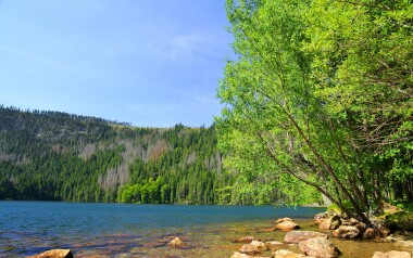 Černé jezero na Šumavě