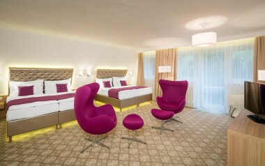 Komfortní pokoj, Pytloun Wellness Hotel Harrachov ****