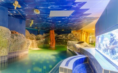 Termální lázně přímo propojené s Hunguest Hotel Aqua-Sol ***