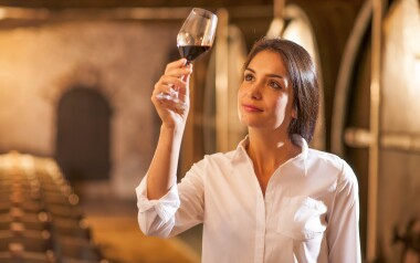 Víno, vinice, Pension Mlýn, Velké Bílovice, jižní Morava