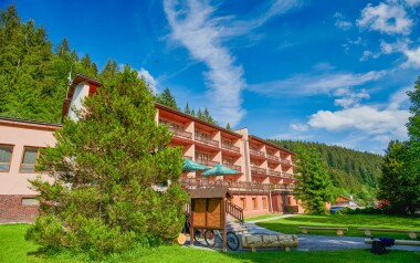 Hotel Podjavorník **, Slovensko