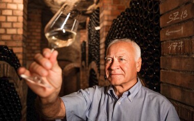 Penzion a vinařství Dobrovolný, jižní Morava, Znojmo