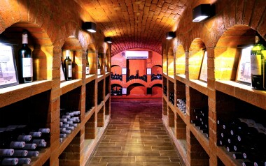 Borgaléria, borkóstoló, Hotel Lidový dům ***, Bzenec