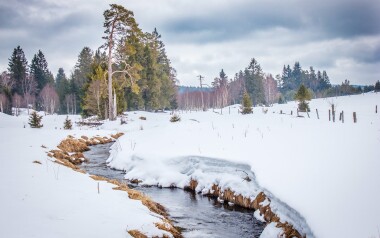 shutterstock_1043863915