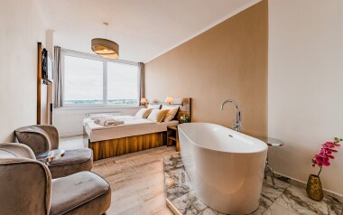Pokoj Superior, Hotel Palcát ***, Tábor