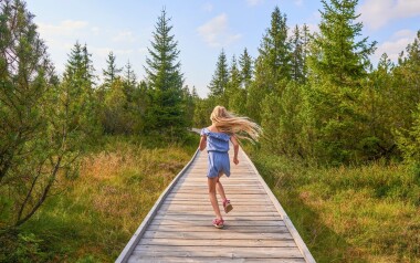 Národní park Šumava a okolí