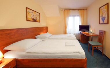 Pokoj Superior, Hotel Palace *** Superior, Plzeň