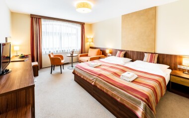 Pokoj, Hotel Artaban ****, Žirovnice, Vysočina