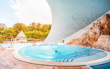 shutterstock_2284258325