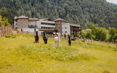 Pobyt pre celú rodinu v Južnom Tirolsku: 4* Hotel Bergschlössl so raňajkami/polpenziou a wellness + miniklub 