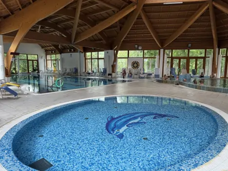 Wellness, termálny hotel Tengelic ***, Felsőtengelic, Maďarsko
