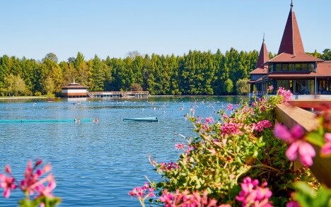 Termálne jazero Hévíz je ideálne na kúpanie počas celého roka
