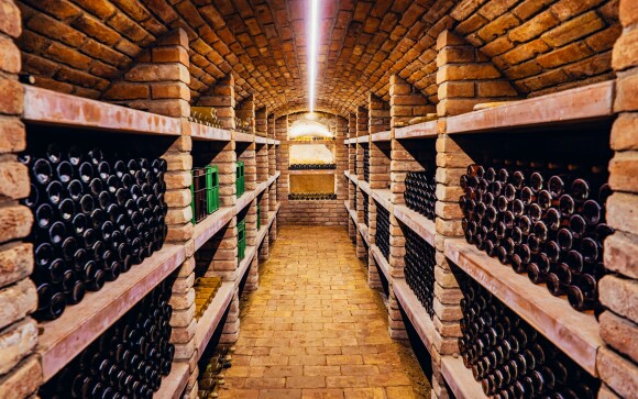 Vinná pivnica, Vinárstvo Lintner u Znojma